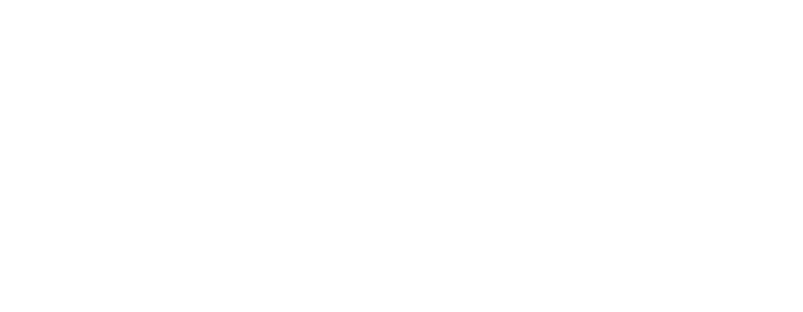 Toucan